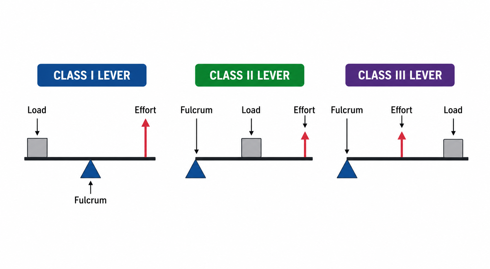Class I, Class II, and Class III Levers Diagram